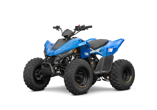 ATV 110